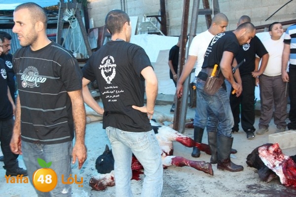 ada7y 116 n1 (33).JPG